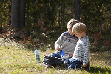 Brüder beim Picknick im Wald an einem sonnigen Tag - CUF53715