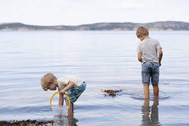 Brothers picking up seashells on beach - CUF53735