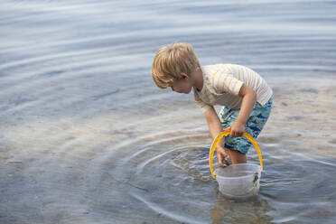 Junge sammelt Muscheln am Strand - CUF53736