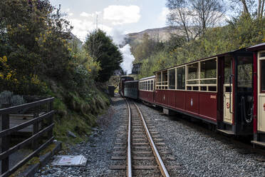 Dampfzug, der durch die Landschaft fährt, Llanaber, Gwynedd, Vereinigtes Königreich - CUF53891
