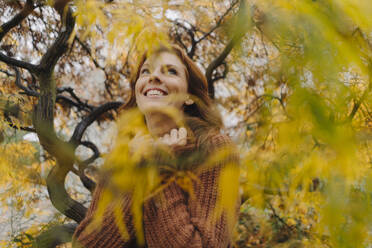 Portrait of a happy woman in autumn - JOSF04094