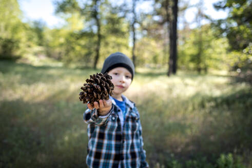 Porträt eines Jungen, der einen Tannenzapfen zeigt, während er auf einem Feld steht - CAVF70633