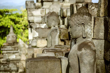 Buddha-Statuen im Prambanan-Tempel - CAVF70651