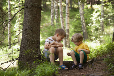 Brothers exploring forest, Finland - CUF53976