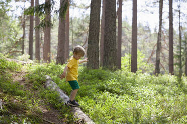 Boy exploring forest, Finland - CUF53977