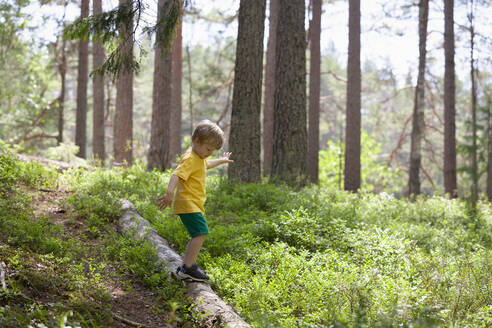Junge erkundet Wald, Finnland - CUF53977