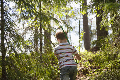 Junge erkundet Wald, Finnland - CUF53979