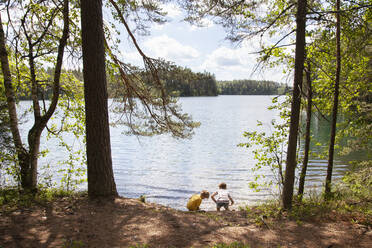 Brüder erkunden den Wald, Finnland - CUF53981