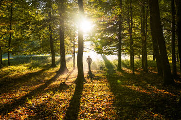 Person jogging in forest - JOHF04881