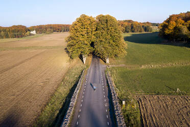 Läufer auf Straße in Feldern - JOHF04882