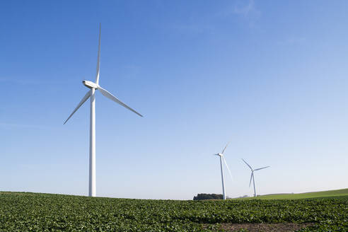 Windkraftanlagen im Feld - JOHF04889