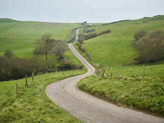 Schotterweg durch ländliche Landschaft - JOHF04895