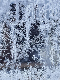 Frost auf Glas - JOHF04901