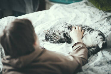 Boy stroking cat on bed - JOHF04950