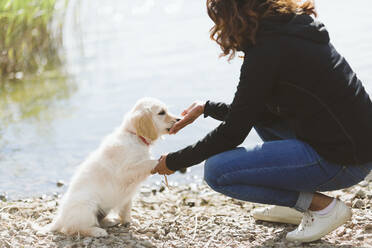 Woman training puppy - JOHF04980