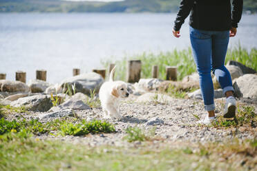 Spaziergänger mit Hund - JOHF04981