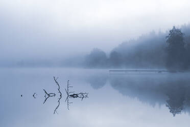 Lake in morning fog - JOHF05027