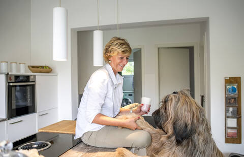 Lächelnde Frau mit Hund in der Küche zu Hause, lizenzfreies Stockfoto