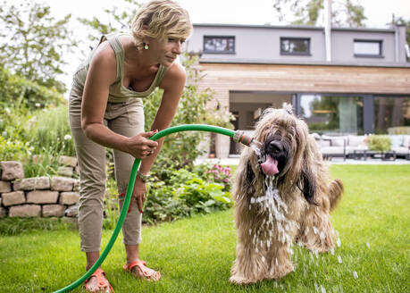 Woman with dog and garden hose in garden - BFRF02140