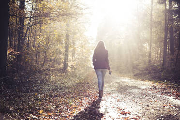 Rückenansicht einer jungen Frau, die im Herbst im Wald spazieren geht - SEBF00280