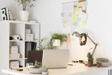 Laptop-Computer auf dem Schreibtisch mit Lampe Zimmerpflanzen in kreativen Büro - CAVF70765