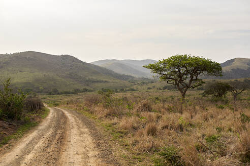 Savannenlandschaft, KwaZulu-Natal, Südafrika - VEGF01184