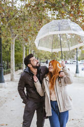 Verliebtes Paar beim Spaziergang mit transparentem Regenschirm im Herbst - LJF01146