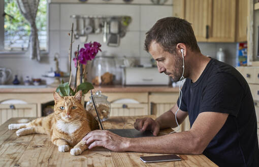 Man working from home, sitting at kitchen table with cat, using laptop - VEGF01221