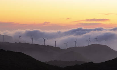 Gibraltar, Wind turbines in landscape at sunset - FCF01852