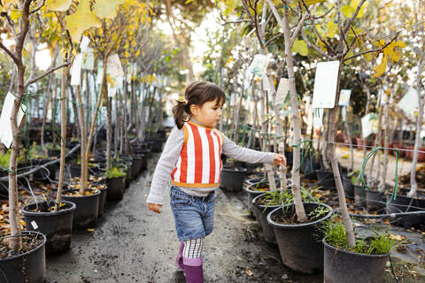Kleines Mädchen erkundet getopfte Bäume in einer Gärtnerei, lizenzfreies Stockfoto