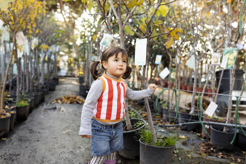 Porträt eines kleinen Mädchens, das in einer Gärtnerei getopfte Bäume erkundet - VABF02473