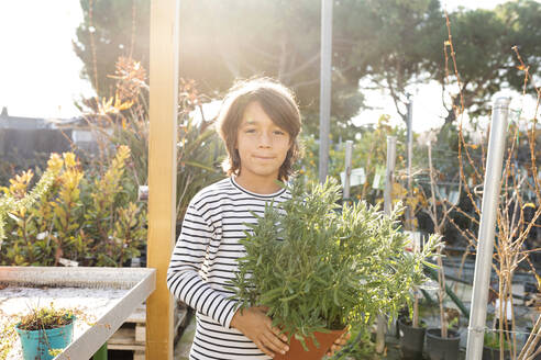 Porträt eines Jungen mit Topfpflanze in einer Gärtnerei - VABF02474