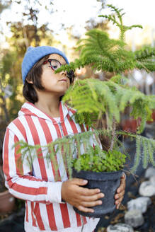 Kleiner Junge mit eingetopftem Baum in einer Baumschule - VABF02487