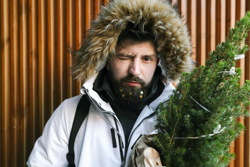 Junger Mann mit Weihnachtsbaum und goldenen Sternen in seinem Bart - EYAF00775