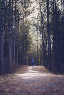 Junge in voller Länge auf unbefestigtem Weg inmitten des Waldes stehend - CAVF70844