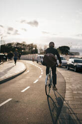 Rear view of businessman cycling on street in city during sunny day - MASF15538