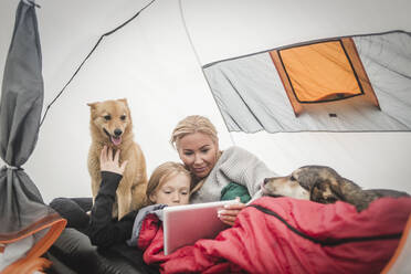 Mother and daughter watching digital tablet while lying with pets in tent at camping site - MASF15619