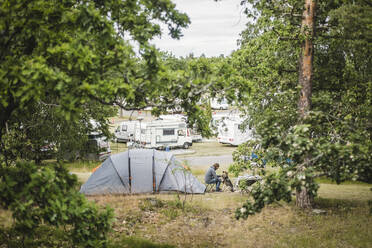 Mann spielt mit Hund bei Zelt auf Campingplatz - MASF15632