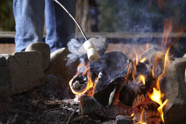 Midsection of man roasting marshmallows over campfire in forest - CAVF71039