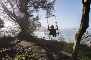 Rückansicht eines Mannes, der an einem sonnigen Tag an einem Baum gegen das Meer schwingt - CAVF71228