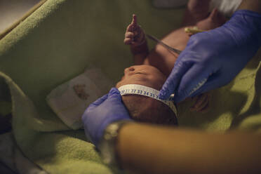 Abgeschnittene Hände eines Kinderarztes, der den Kopf eines neugeborenen Babys in einer Krippe im Krankenhaus misst - CAVF71267