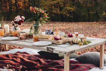 Essen auf dem Tisch im Feld - CAVF71290