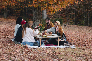 Freunde genießen am Tisch auf dem Feld - CAVF71300