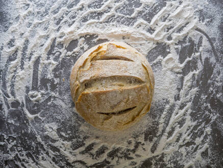 Close-up of bread on kitchen counter - CAVF71327