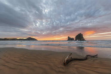 Neuseeland, Südinsel, Tasman, Wharariki Beach und Archway Islands - FOF11414