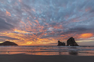 Neuseeland, Südinsel, Tasman, Wharariki Beach und Archway Islands bei Sonnenuntergang - FOF11429