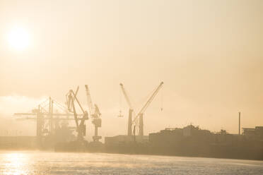 Deutschland, Hamburg, Silhouetten von Hafenkränen bei Sonnenaufgang - IHF00204