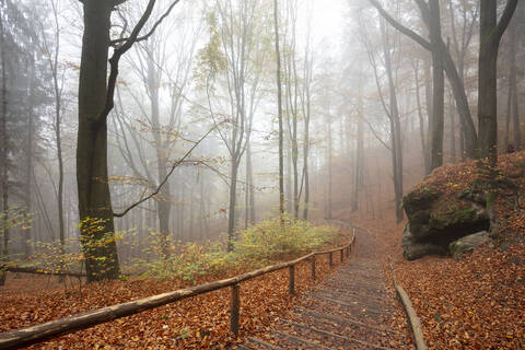 Deutschland, Sachsen, Leerer Wanderweg im nebligen Herbstwald des Nationalparks Sächsische Schweiz, lizenzfreies Stockfoto