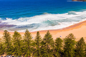 Luftaufnahme von Pinienbäumen am Mona Vale Beach, Sydney, Australien. - AAEF06118