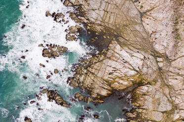 Aerial view above Kaikoura Seal Colony at Canterbury, New Zealand. - AAEF06151